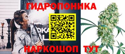 герыч Дубна