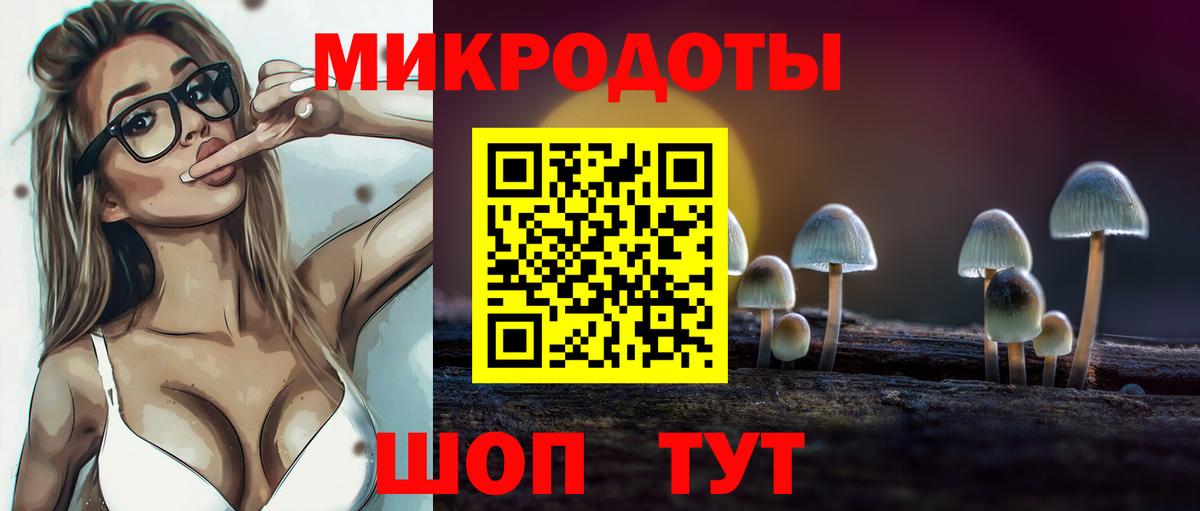 Псилоцибиновые грибы прущие грибы Малоярославец
