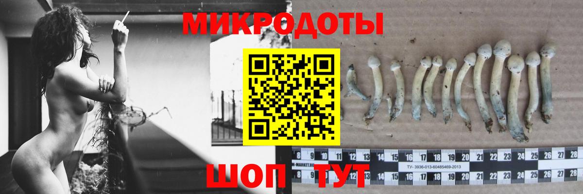 Малоярославец  Псилоцибиновые грибы мухоморы  Вход с VPN  Галлюциногенные грибы мицелий 